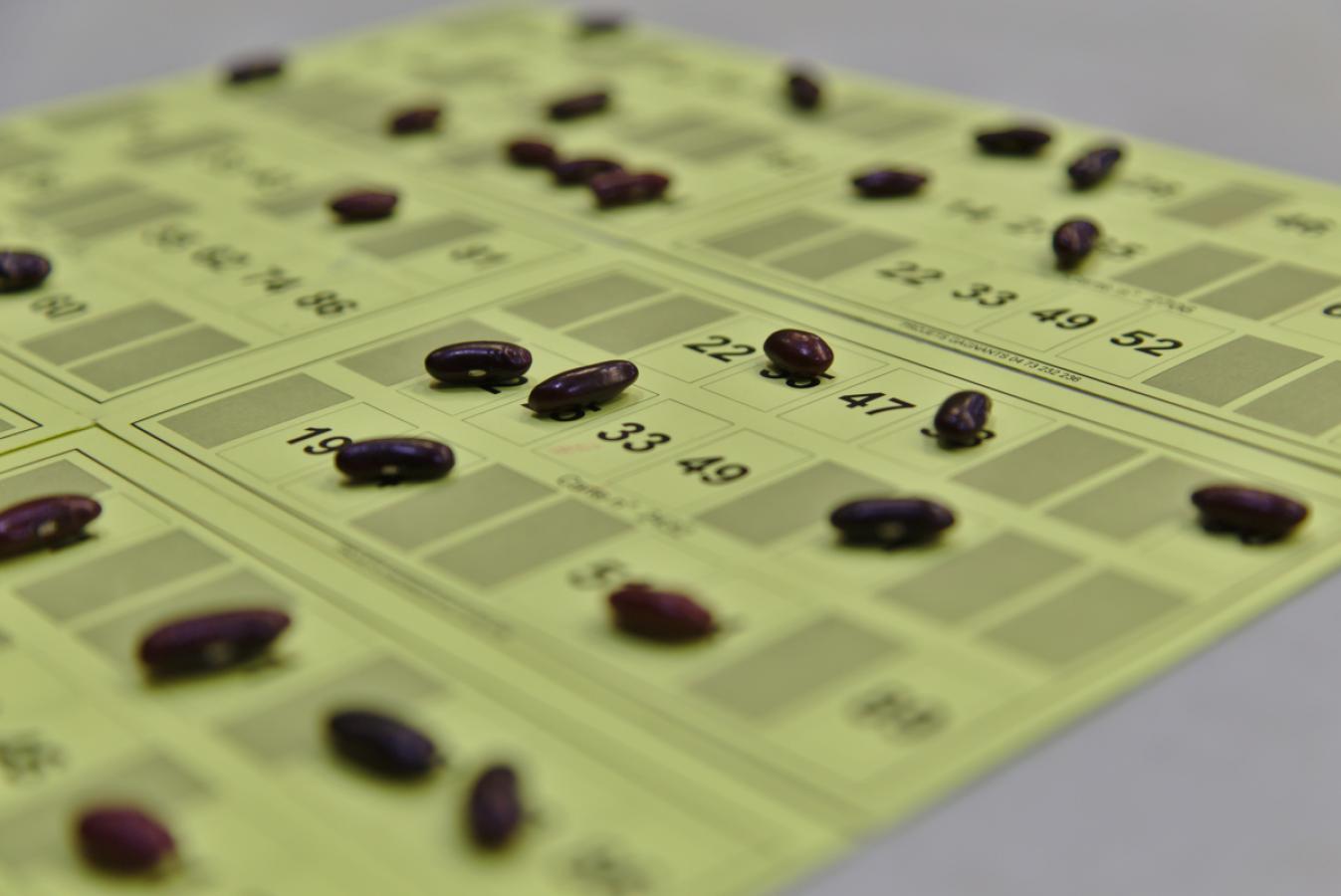 Loto 2020 HBC Crolles Grésivaudan